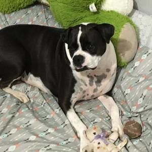 Meet your Posher, Lyssa